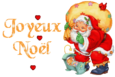 JOYEUX NOEL ET BONNE ANNEE 2008 A TOUS LES VIP-BLOGS