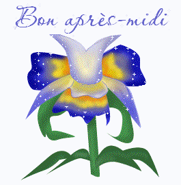 JE T'AIME A LA FOLLIE M.T.NDIONE