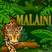 malaini un des panthers